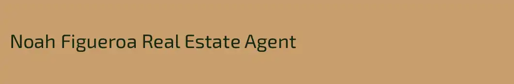 Noah Figueroa Real Estate Agent